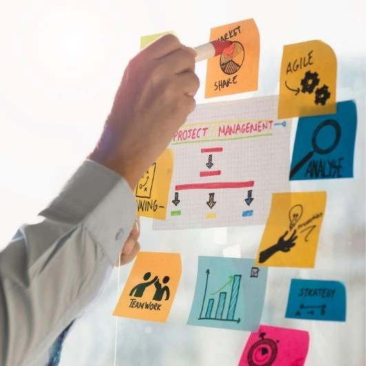 consulenza societaria per imprese